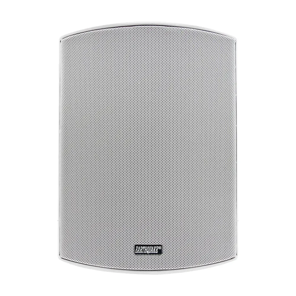 Earthquake Sound AWS-602W Indoor Outdoor Speakers and Yamaha R-S202 2-Channel Stereo Receiver