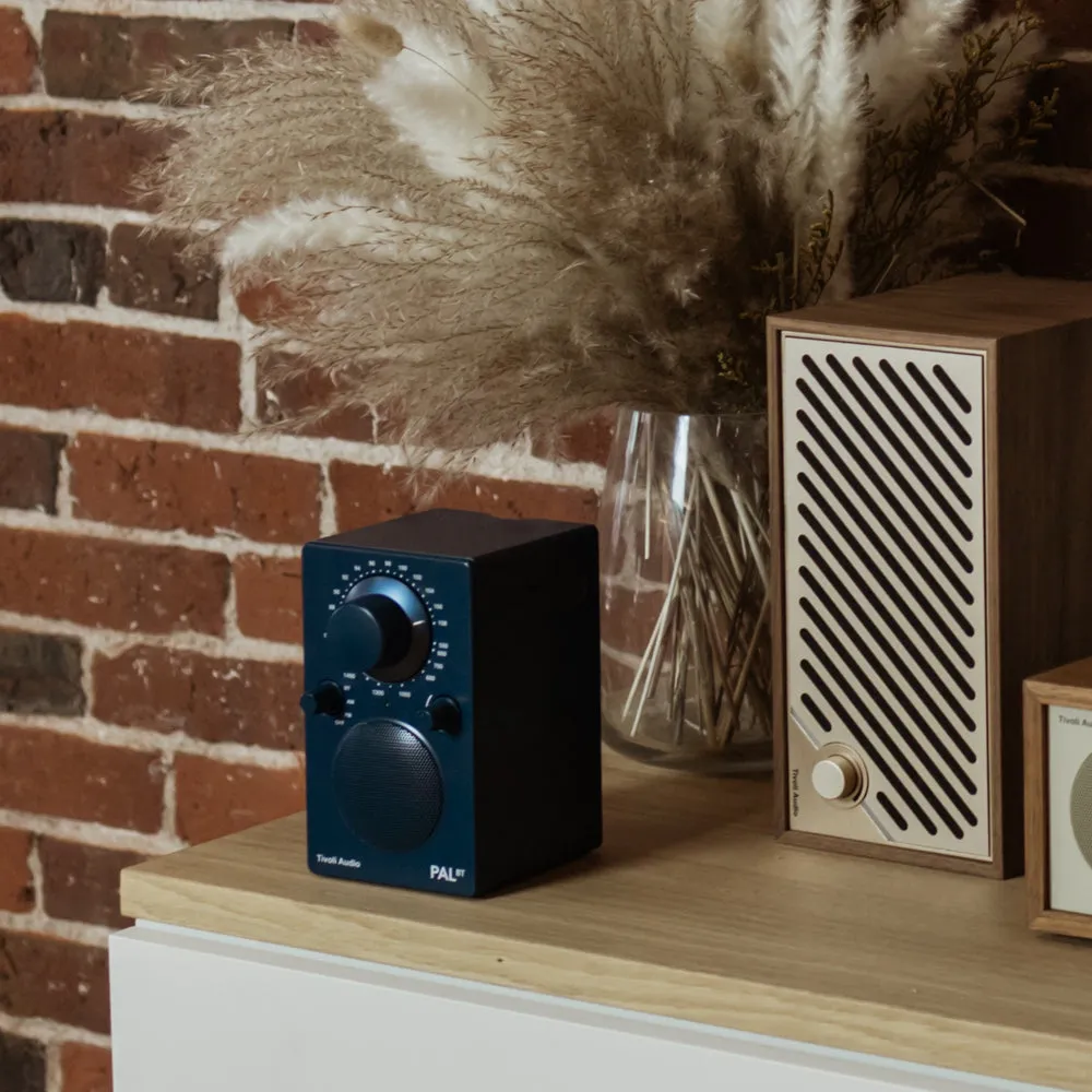 PAL BT Portable Radio