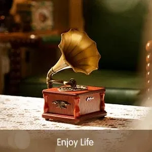 RetroSound Mini Bluetooth Speaker - Vintage Style Portable Wireless Music Player