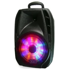 TOPTECH TTR 108 BT 8" Portable Bluetooth Speaker with LED Lights & Rechargeable Battery